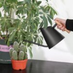 Stainless Steel Sprinkling Can Watering Pot Gardening Tools - Image 9