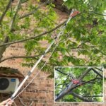 1 Telescoping Pruning Shears, Adjustable-length Pruning Saw, Stainless Steel Garden Saw For Cutting Branches And Tree Care - Image 5